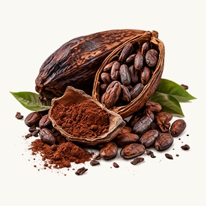 Cocoa
